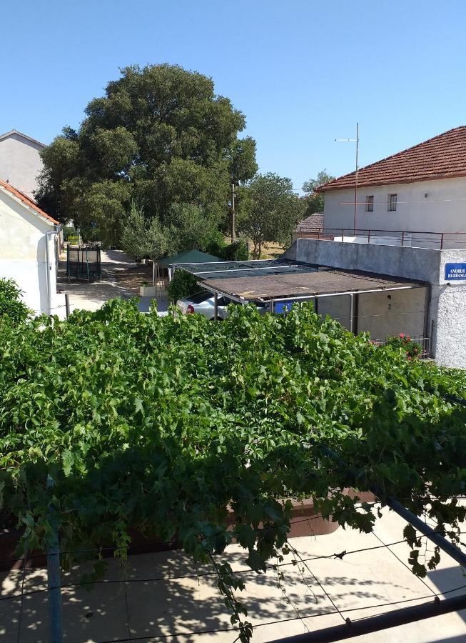 Apartments Jelicic ビオグラード・ナ・モル エクステリア 写真